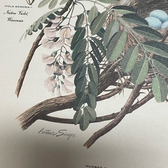 Vintage Arthur Singer Bird Print Number 5 & 6 of a Series - Picture 8 of 8